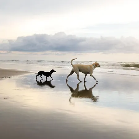 Paddys Corner - Part Of The The Bay Village With Pool, Gym And Direct Access, Pub, Restaurant, Tennis And Meadows Walks Prázdninový dům Filey